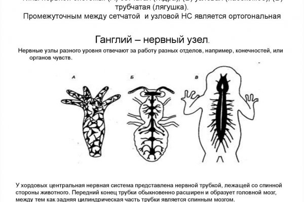 Кракен это известный маркетплейс